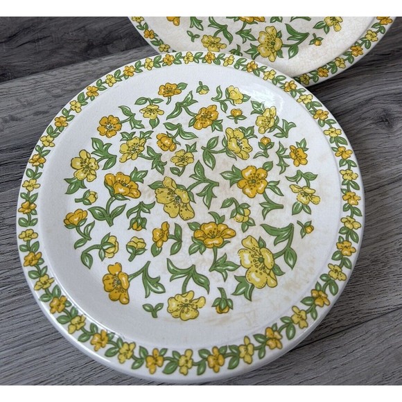 Vintage Taunton Vale Buttercups Plates Dessert Snack 1970s Floral X 6 England - Picture 2 of 13